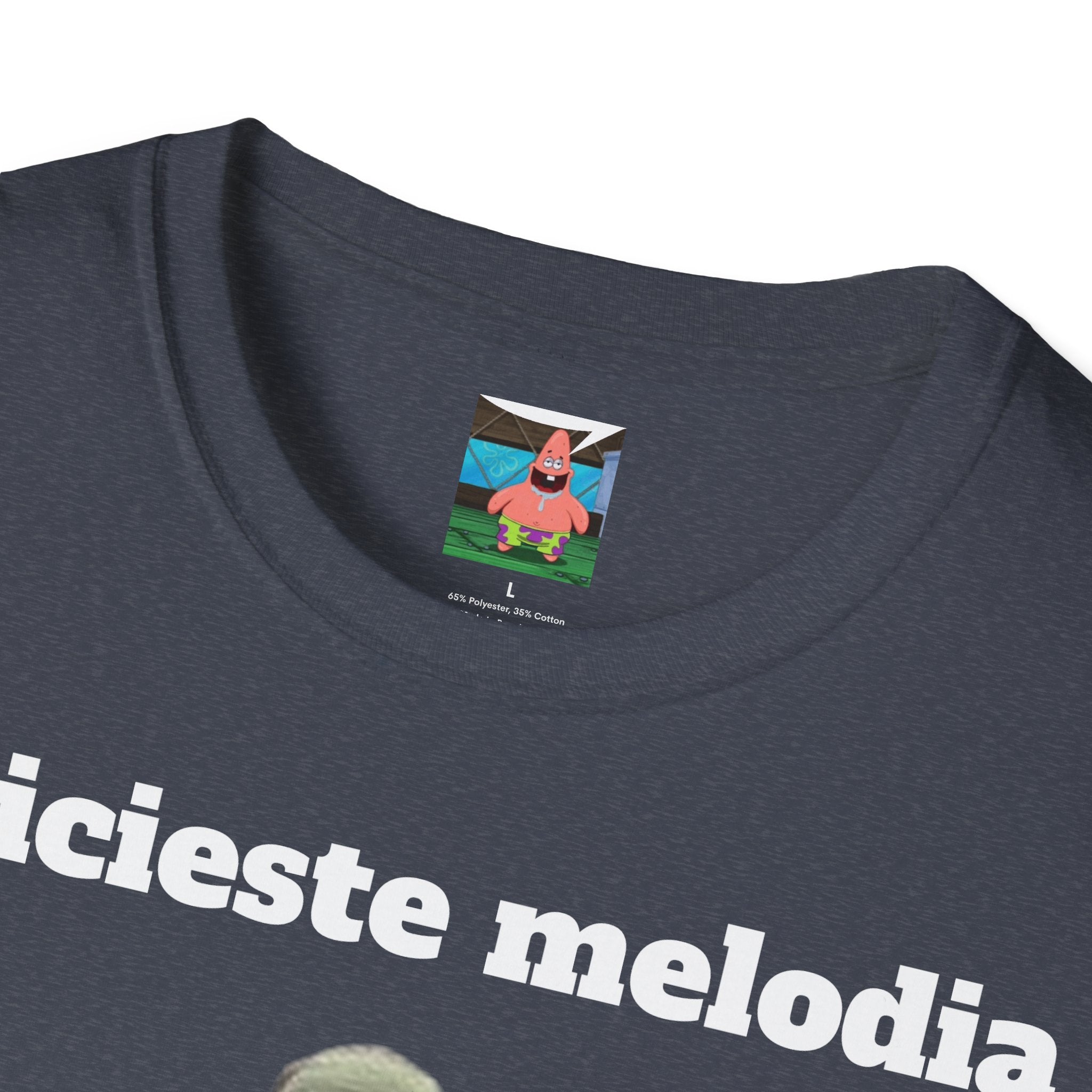Tricou Ghiceste Melodia