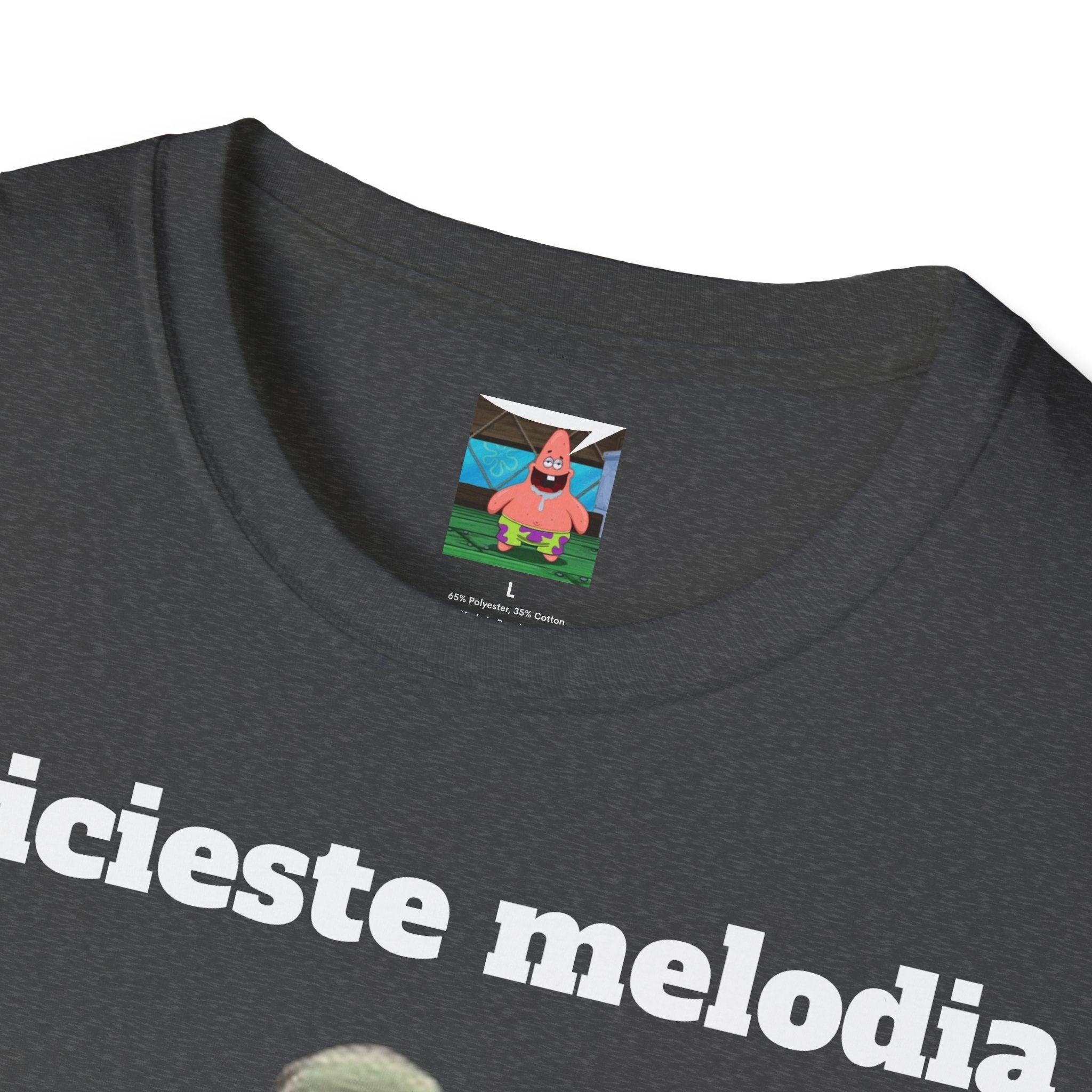 Tricou Ghiceste Melodia