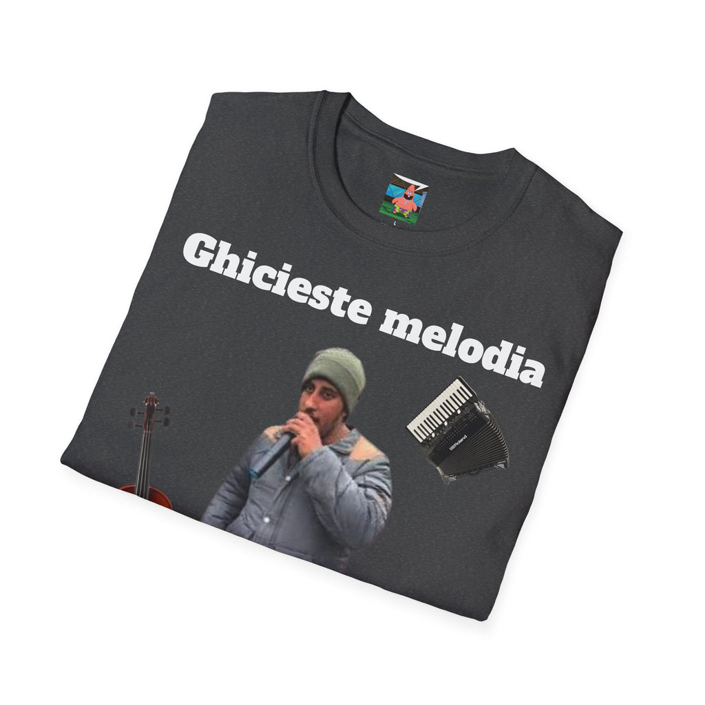 Tricou Ghiceste Melodia