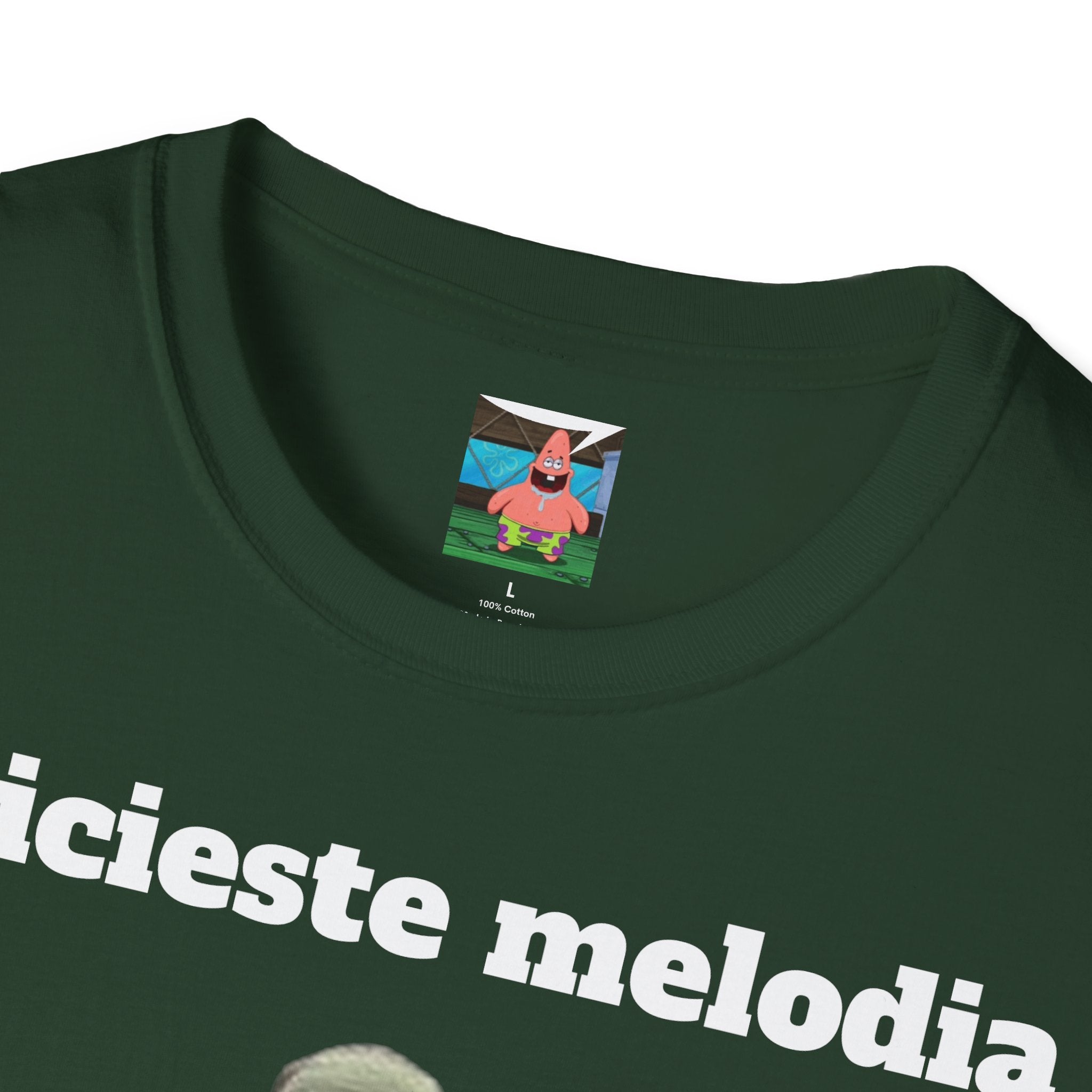 Tricou Ghiceste Melodia